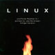 Linux 5.1 (Red Hat)